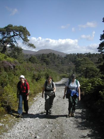 Cairngorms - LGL options