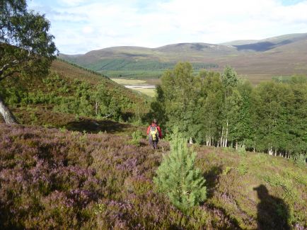 August in the Cairngorms