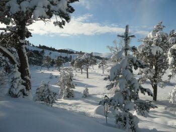 Winter in the Cairngorms