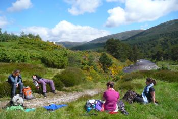 June in the Cairngorms