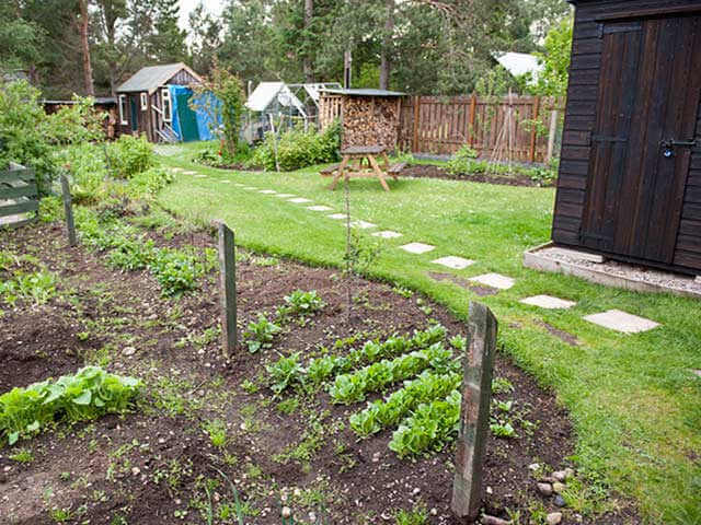 edible garden