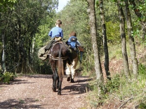 Donkey trekking - tired child