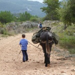donkey trekking
