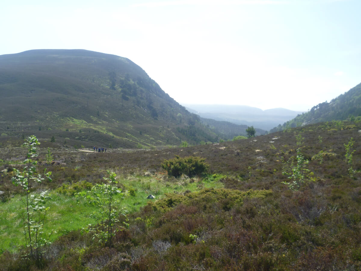Hiking in the Cairngorms for everyone