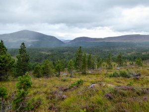 Walking, whisky and wildlife