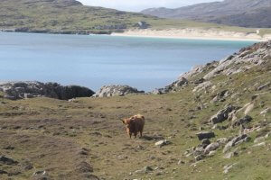 images of the Outer Hebrides