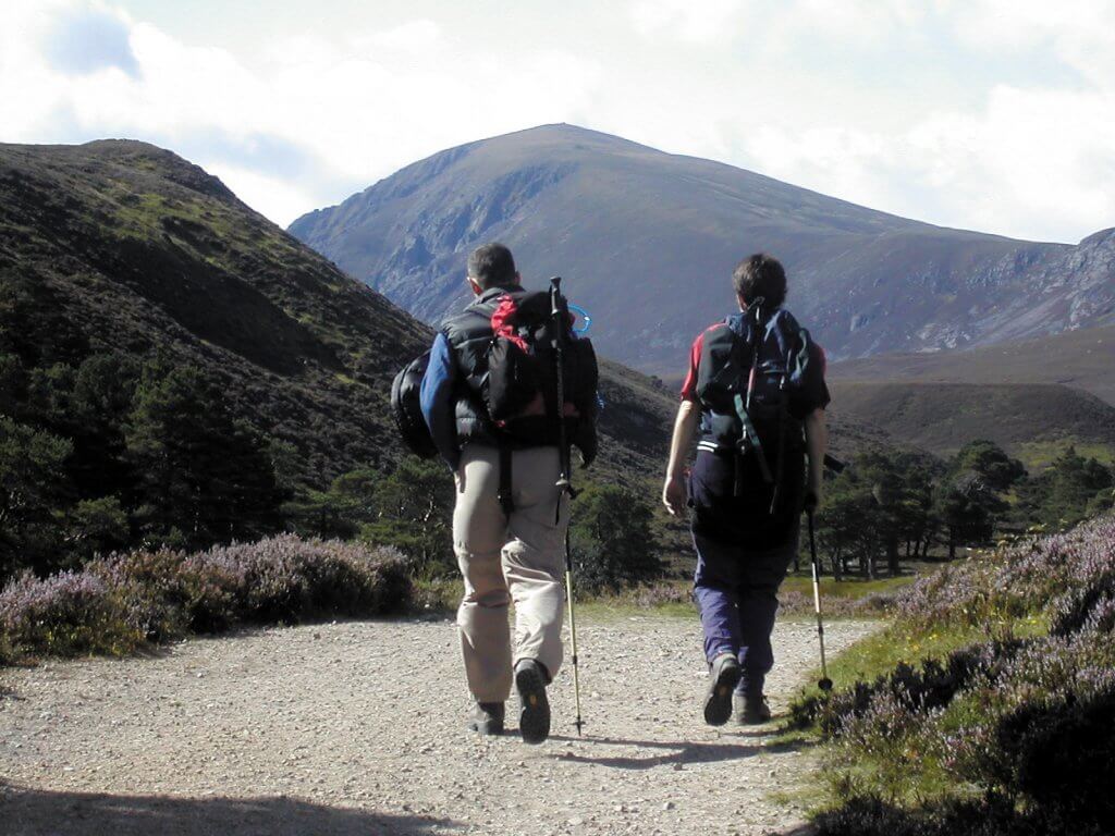 gentle walking towards the hills