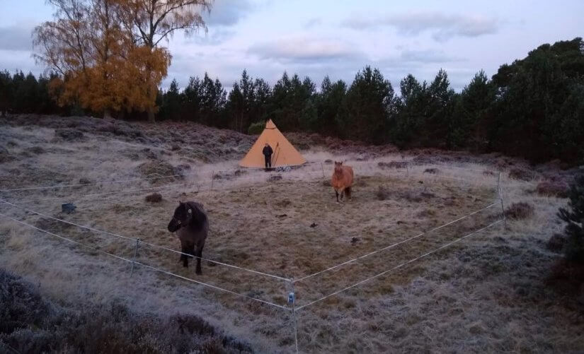 hiking with horses