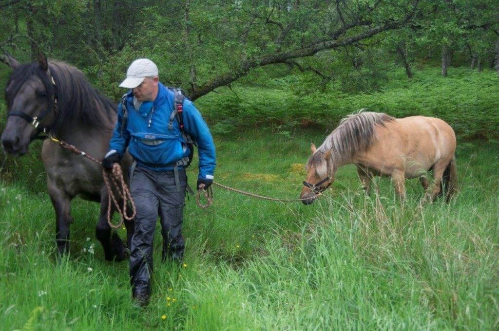 hiking with horses