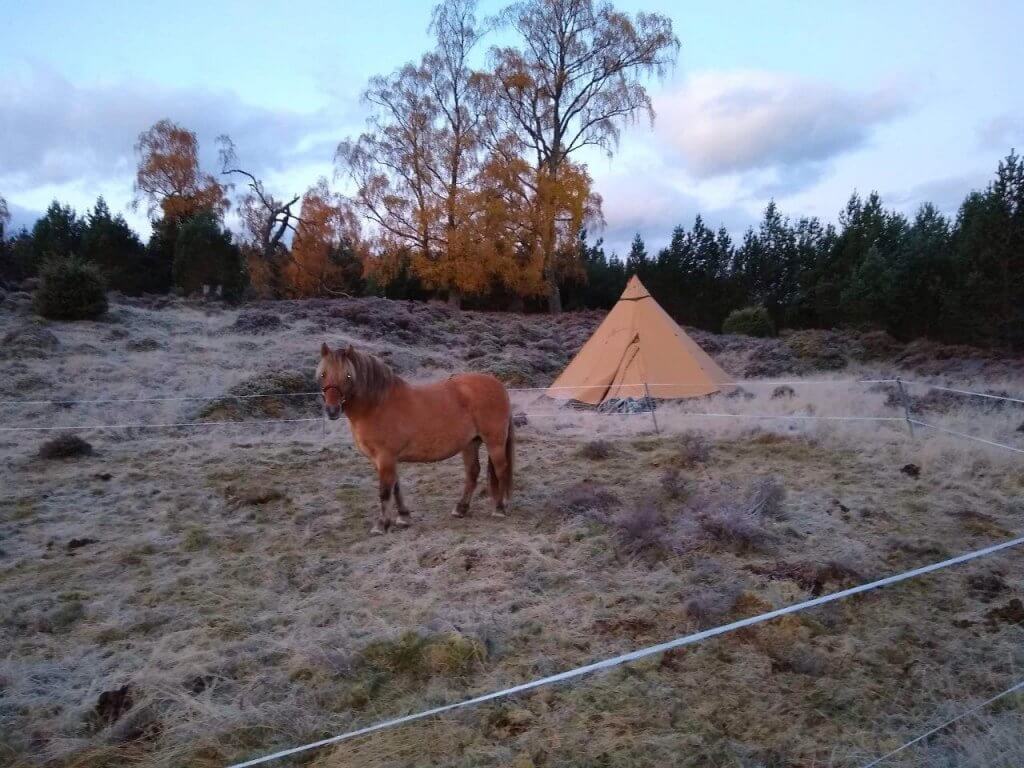wild camping in Scotland