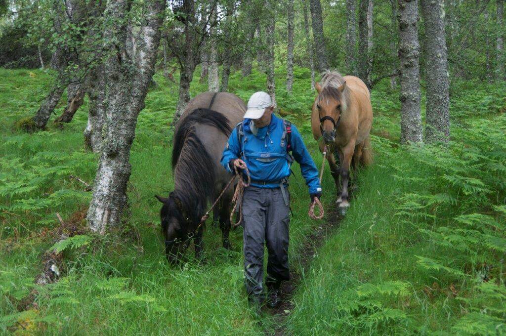 hiking with horses