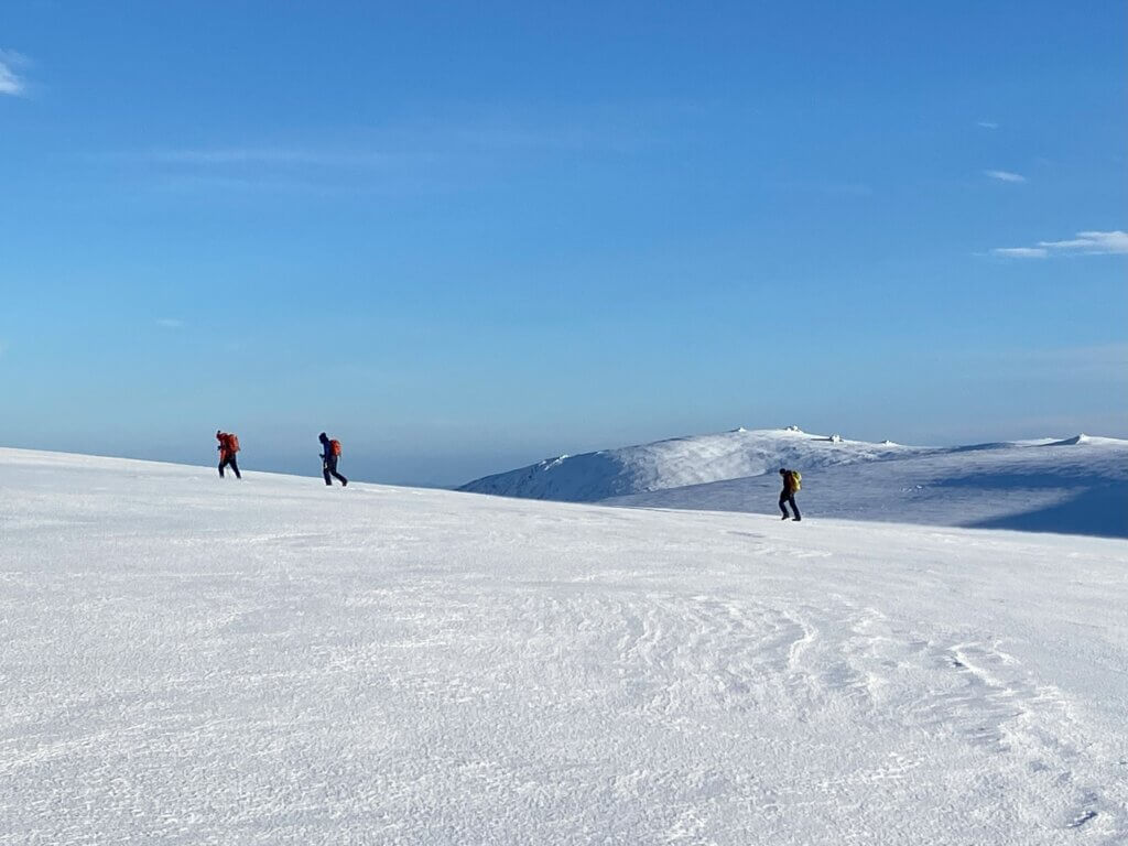 New Year Winter Walking