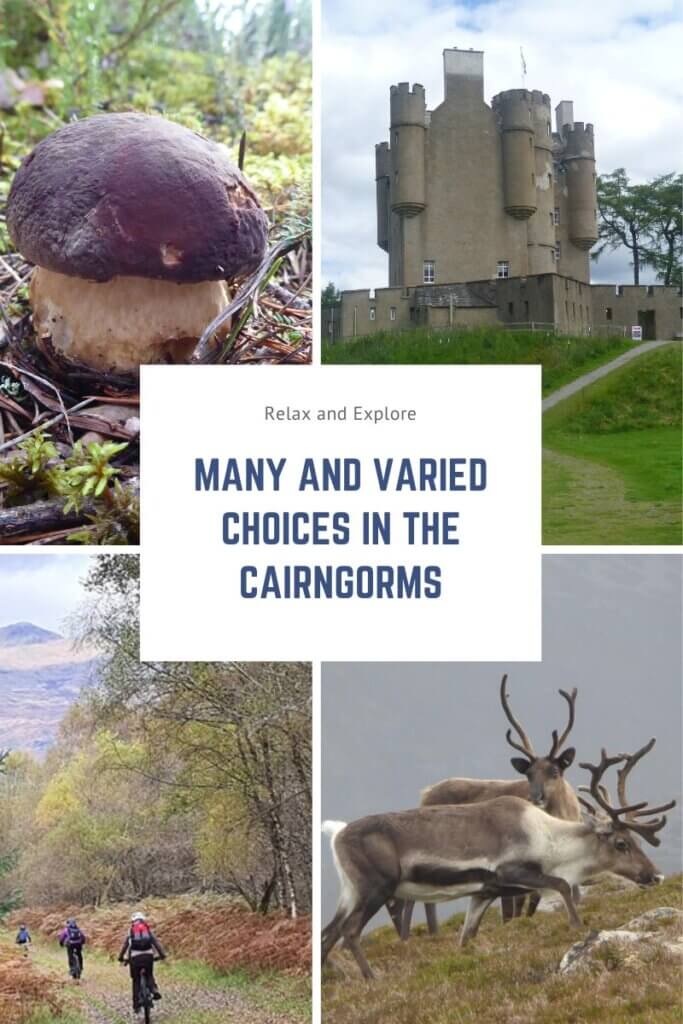 activity choices in the Cairngorms
