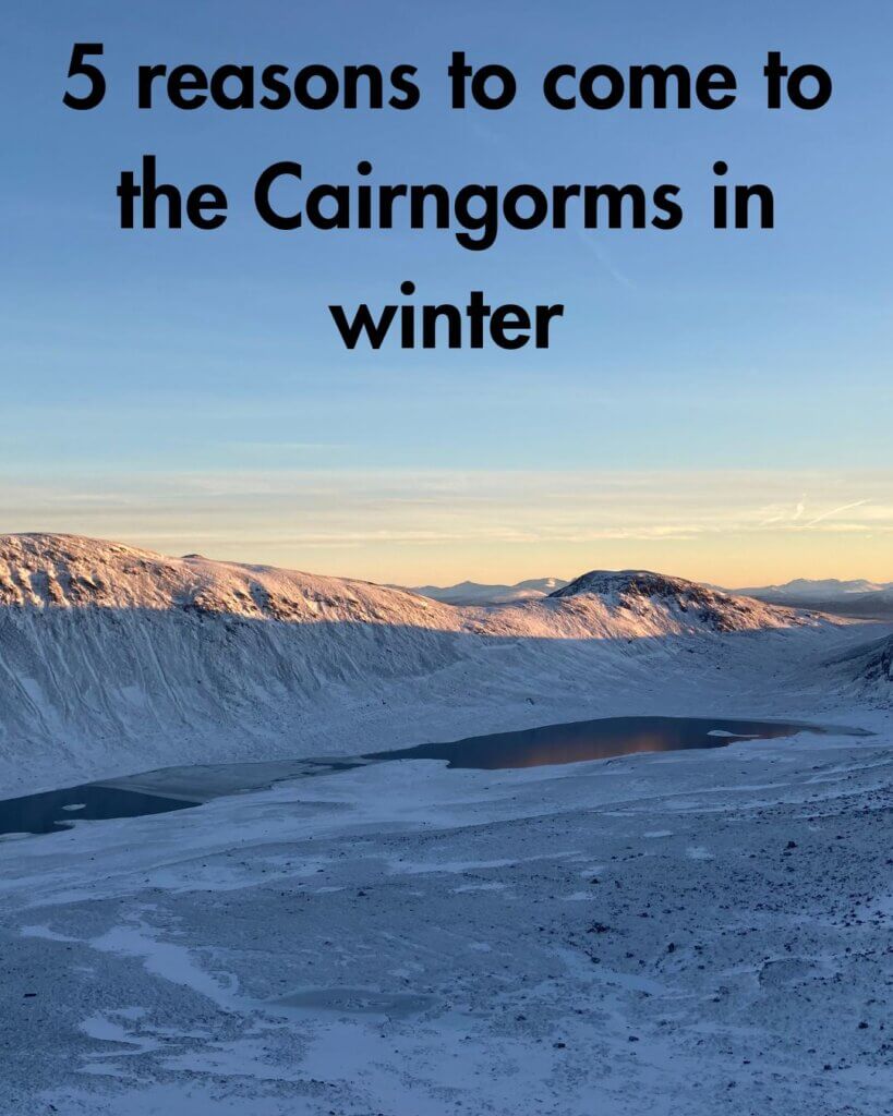 5 reasons to visit the Cairngorms in winter