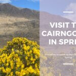 visit the Cairngorms in Spring