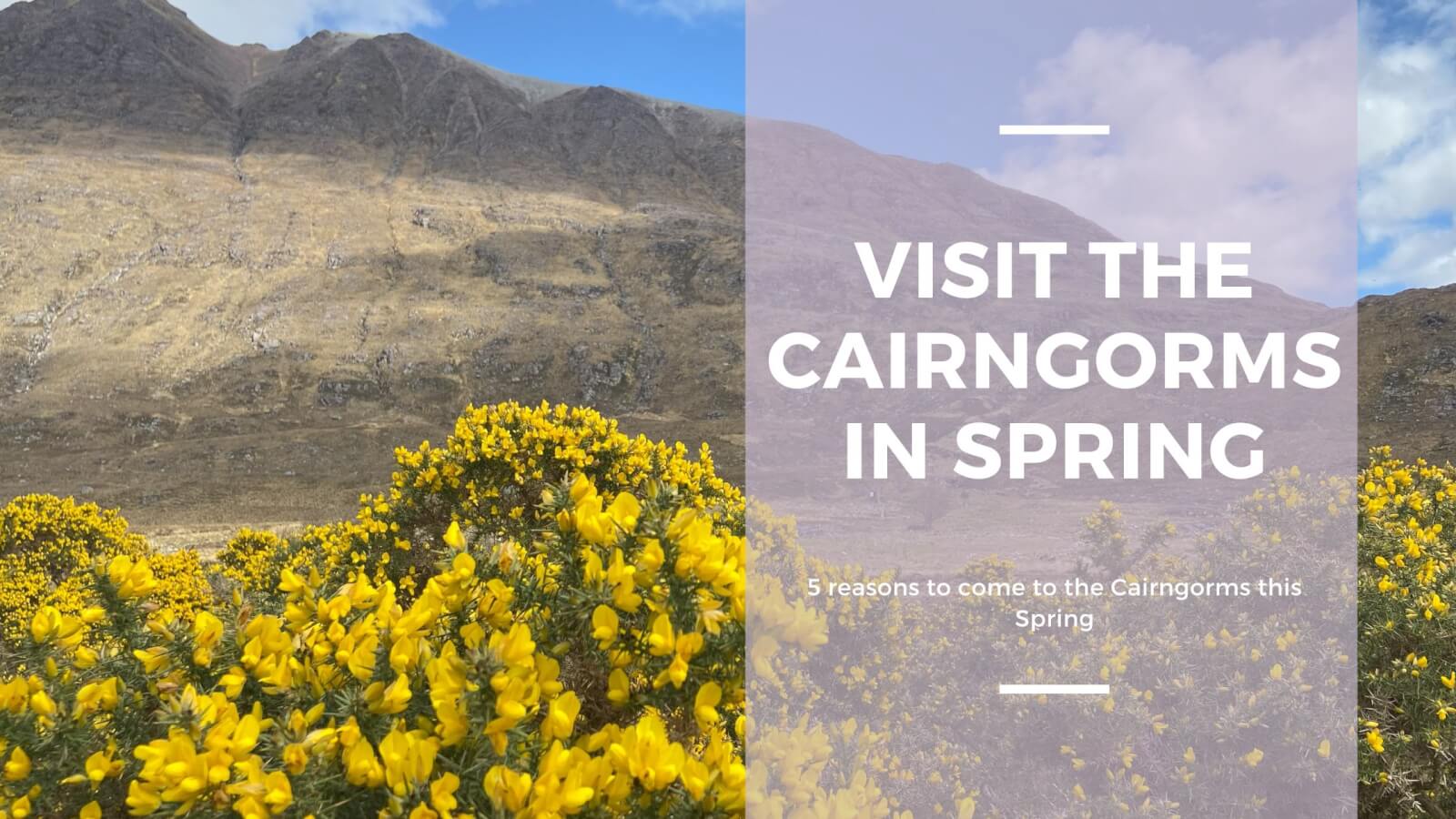 visit the Cairngorms in Spring