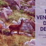 the venison debate