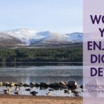 would you enjoy a digital detox?