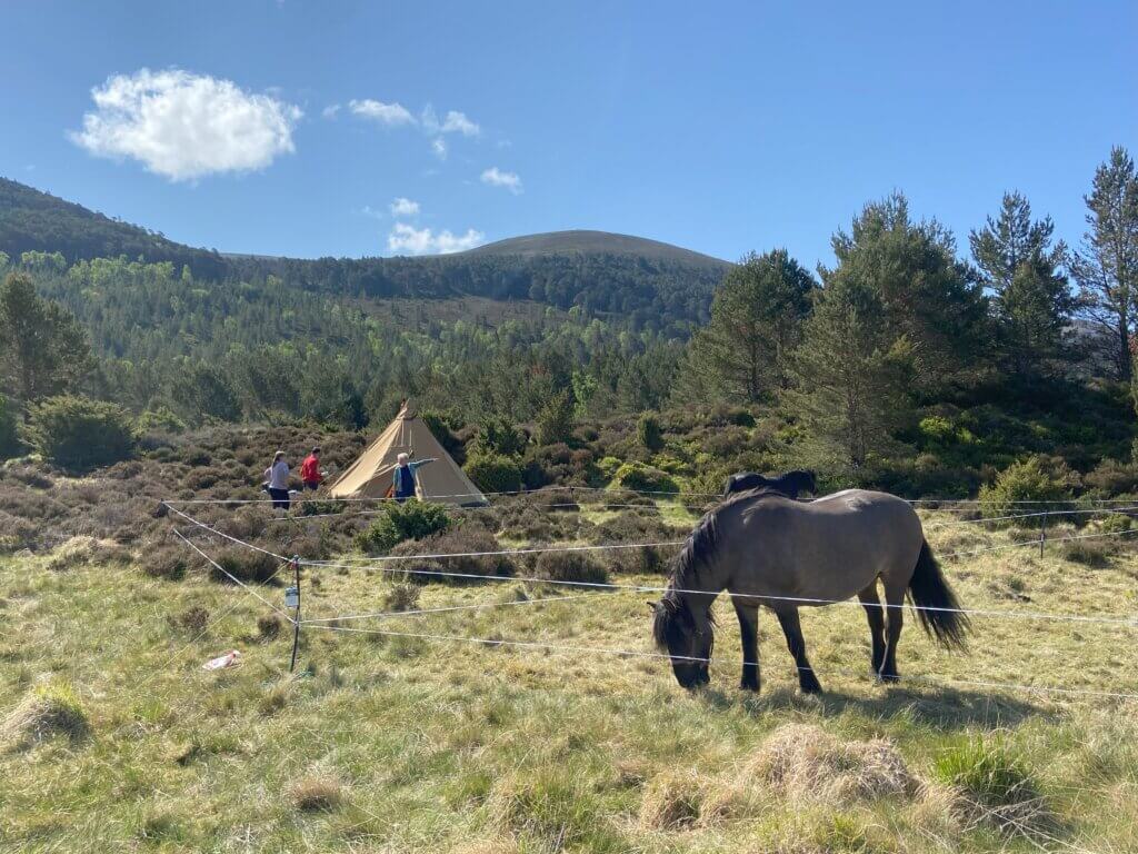 camping