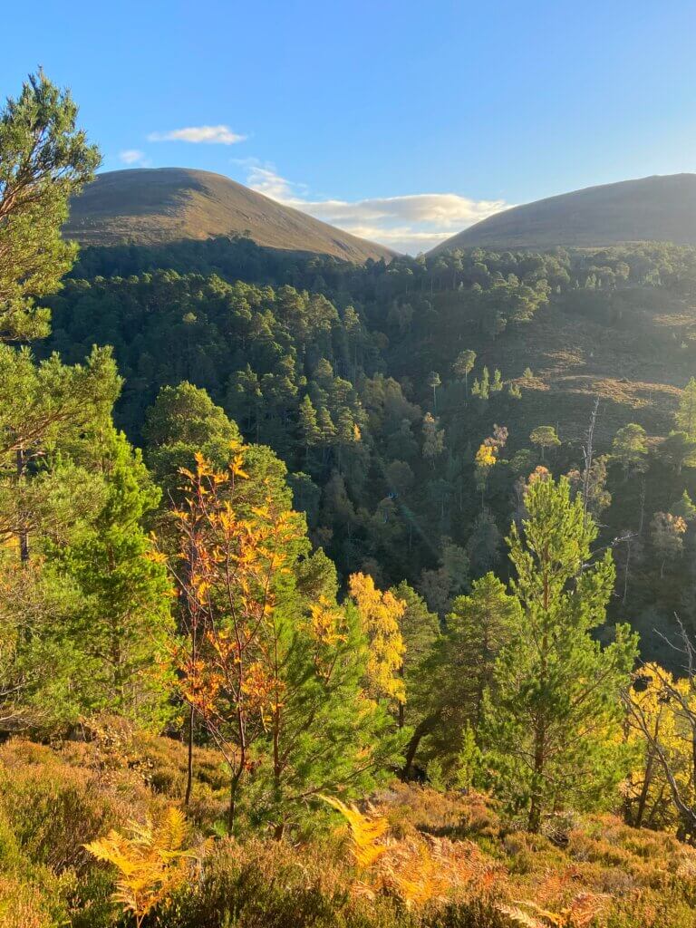 autumn in the Highlands