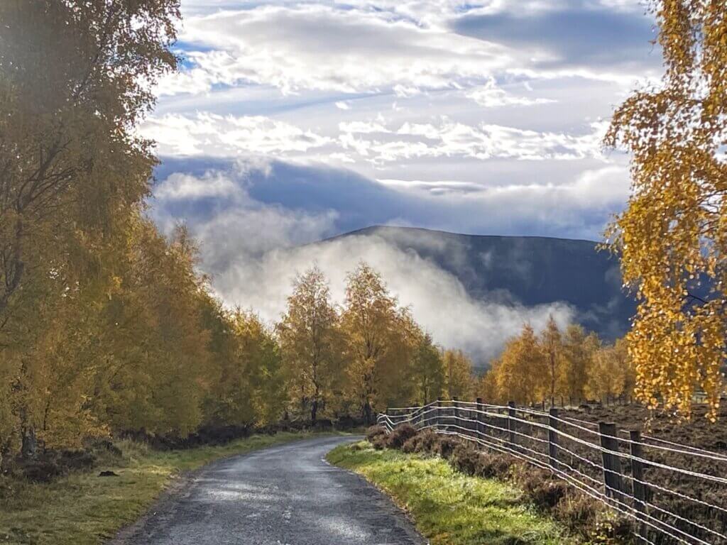 Soft light of autumn