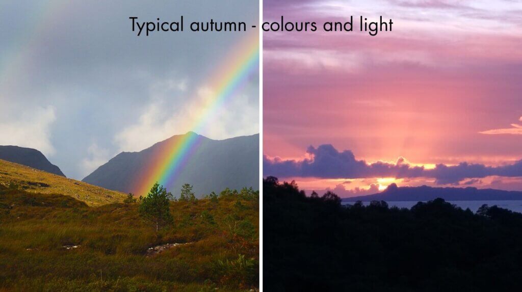 typical autumn - colours and light