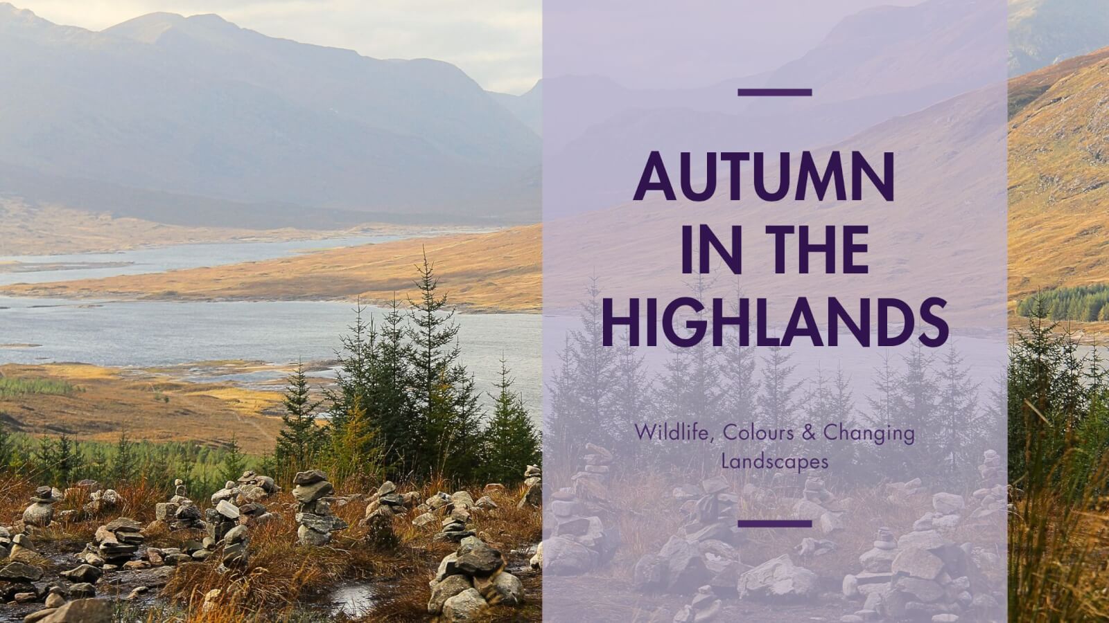 Autumn in the Highlands