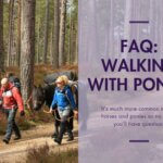 FAQ: walking with ponies
