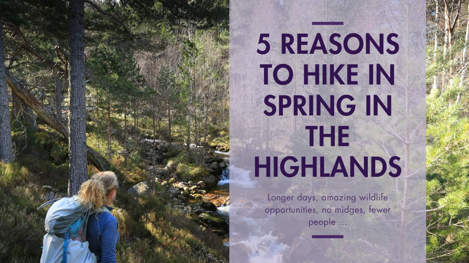 5 reasons to hike in Scotland in Spring