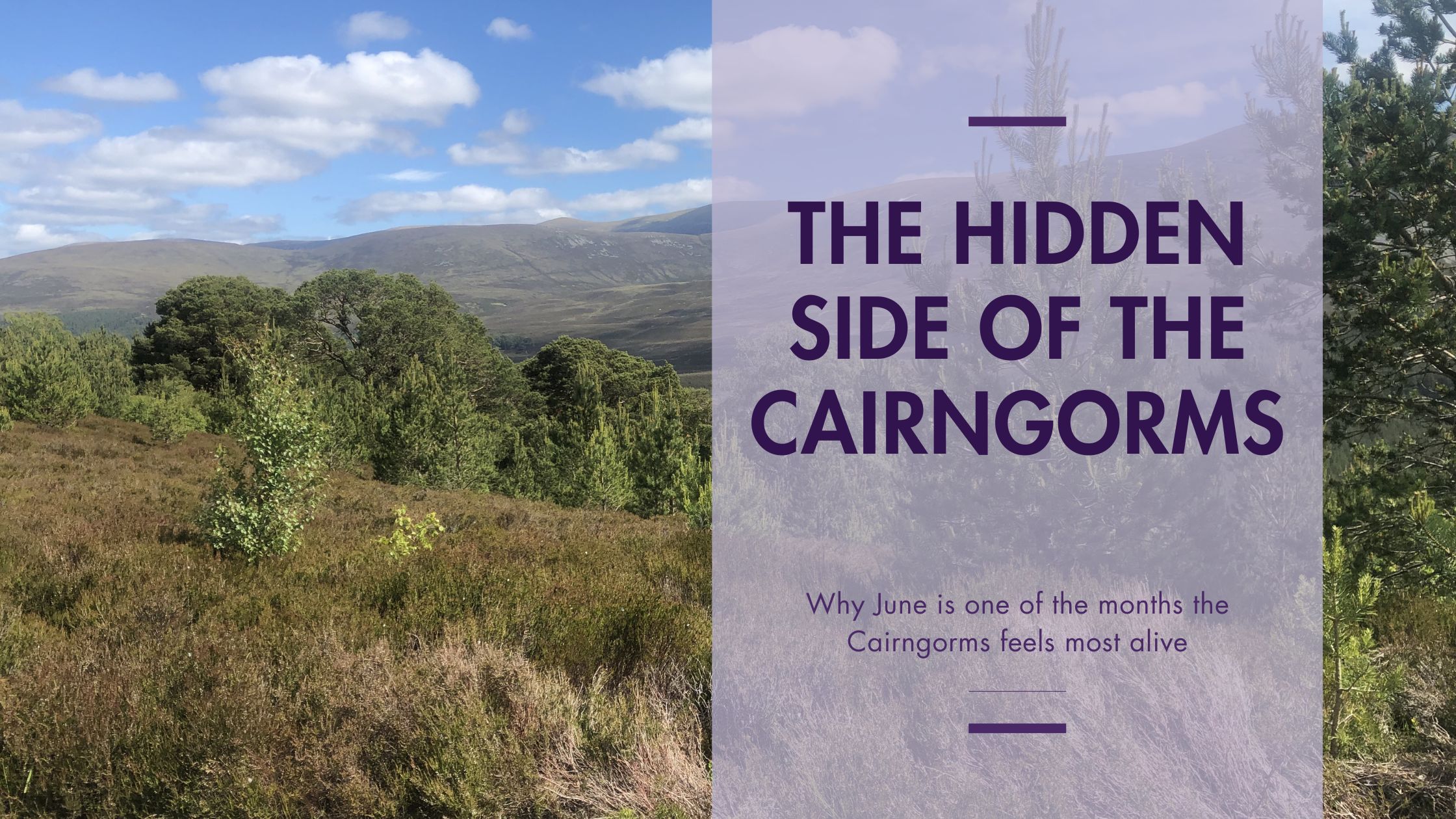 The Hidden side of the Cairngorms
