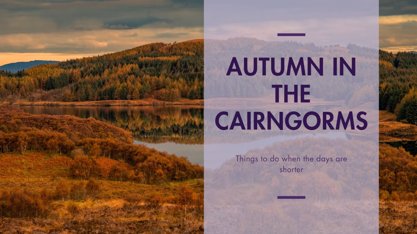 Autumn options in the Cairngorms